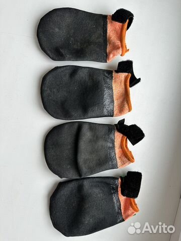 Ботинки для крупной собаки