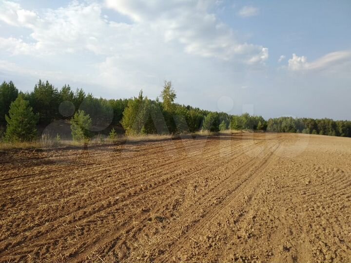 Участок 6 га (СНТ, ДНП)