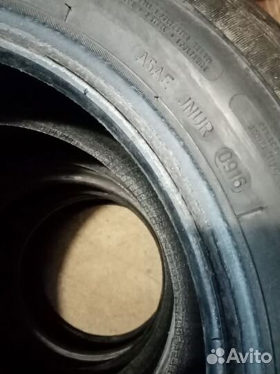 Sava Eskimo Stud 195/65 R15
