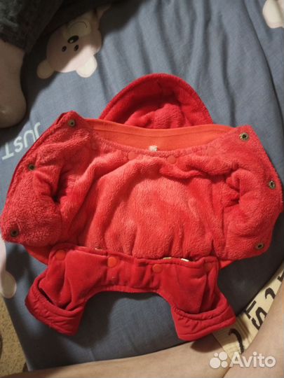 Одежда для маленьких собак