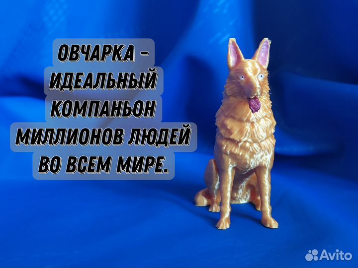 Овчарка. Немецкая овчарка. Собачка. Щенки