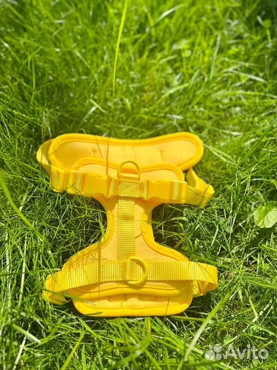 Шлейка для маленьких собак и кошек желтая