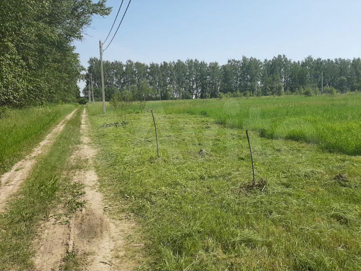 Участок 10 сот. (СНТ, ДНП)