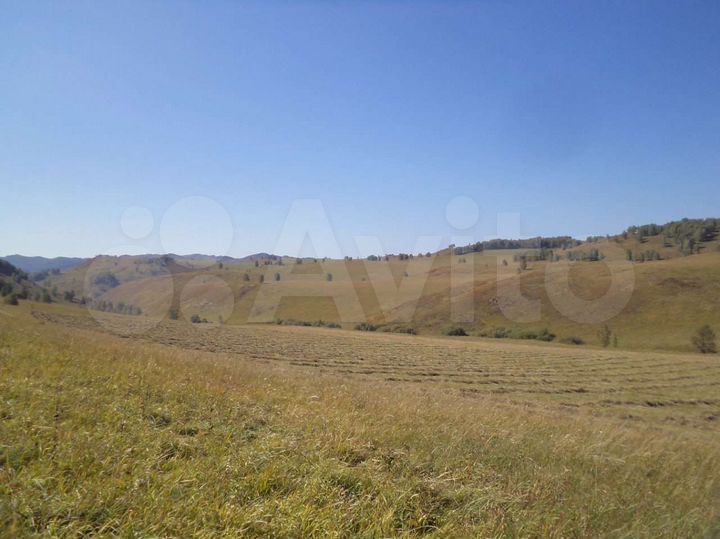 Участок 24 га (СНТ, ДНП)