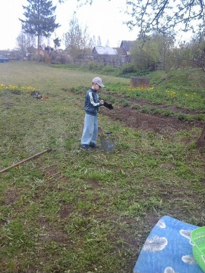 Участок 10 сот. (СНТ, ДНП)