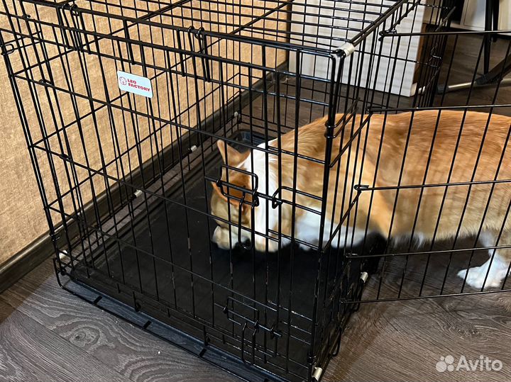Клетка доя собак