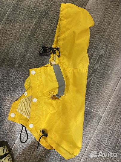 Одежда для собак