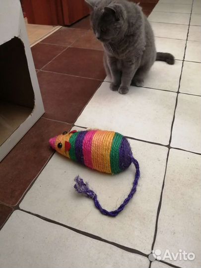 Игрушки для кошек