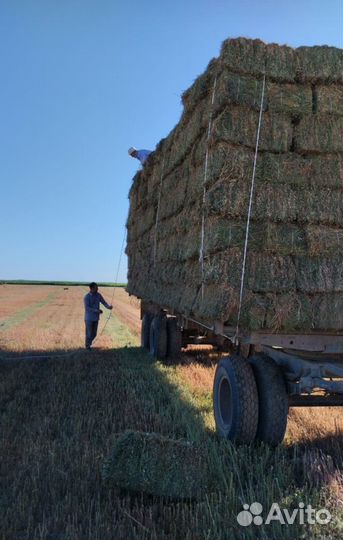 Сено в тюках и солома с поля