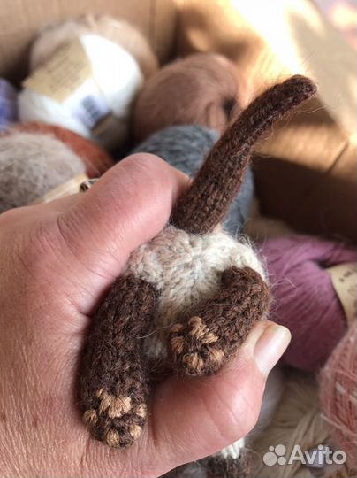 Вязанный котенок сиамской породы