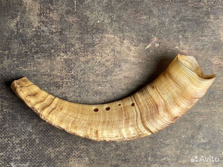 Буккехорны (Bukkehorn ) из рога козла