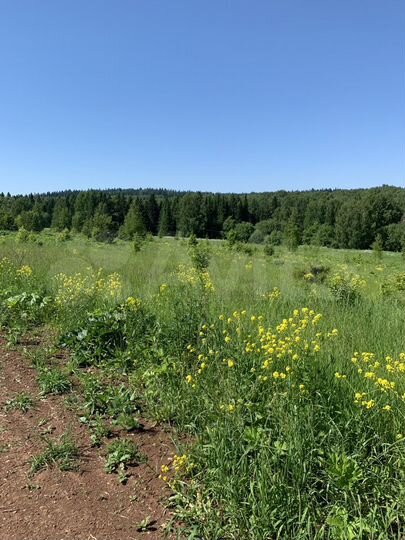 Участок 5,9 га (СНТ, ДНП)