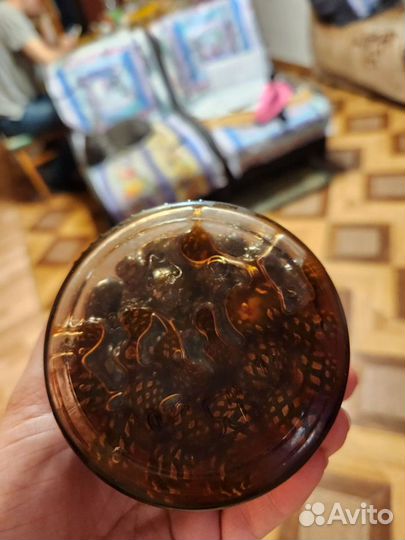 Карельское варенье из сосновых шишек