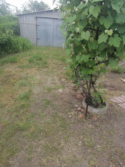 Дом 31,8 м² на участке 12,8 сот.