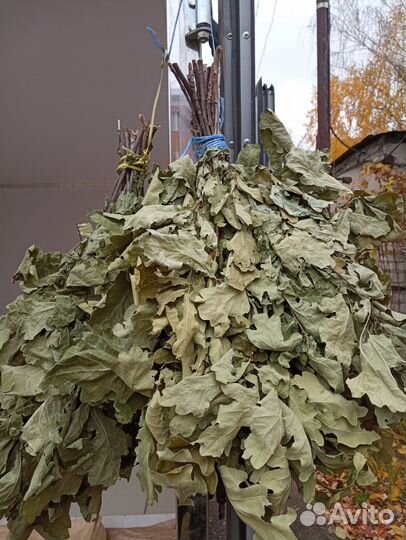 Веники для бани