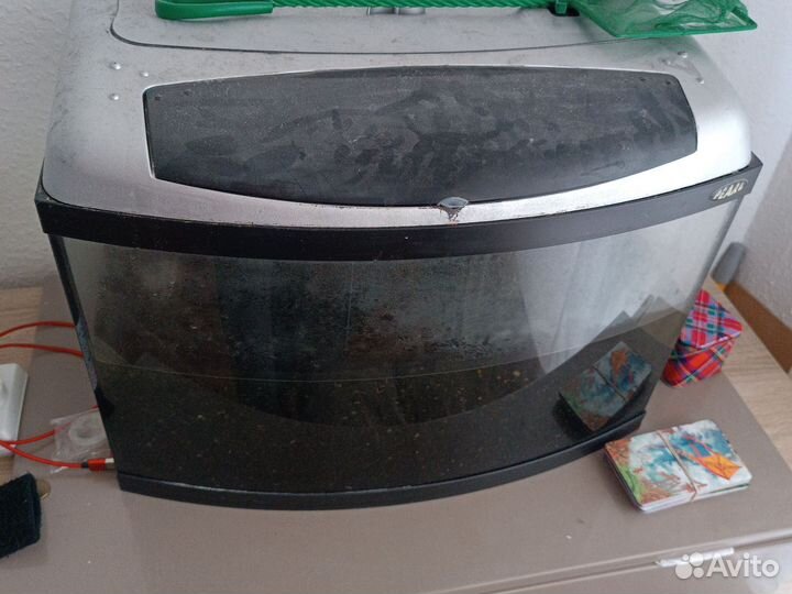 Аквариум с одним сомом