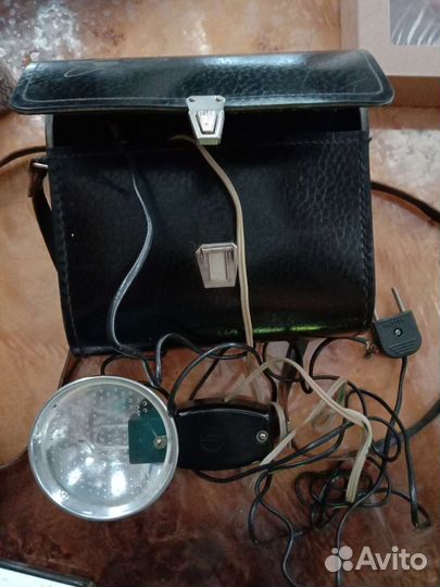 Фотовспышка чайка