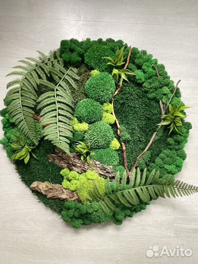 Панно из мха, картина из мха