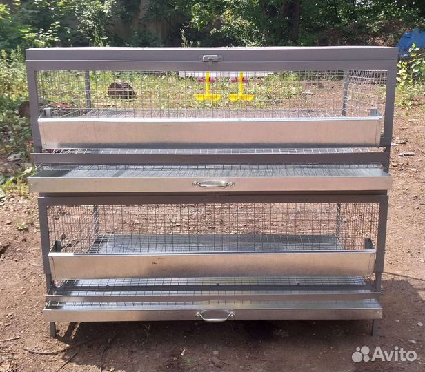 Клетка на 70-80 перепелов с яйцесборником