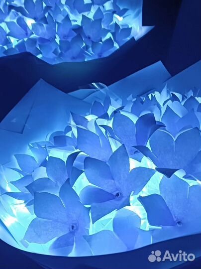 Букет цветов