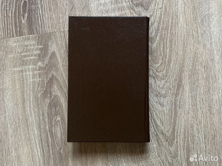 С. Буданцев, Мятеж, П.Нилин, Советский детектив