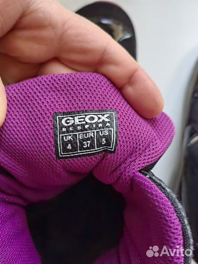 Сапоги geox
