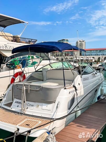 Утренняя рыбалка