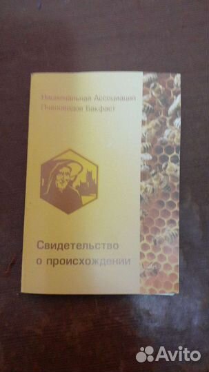 Продажа маток Бакфаст, Карника