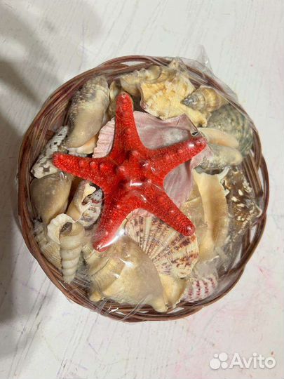 Ракушка Декор