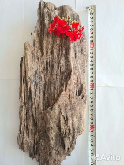 Коряга дрифтвуд
