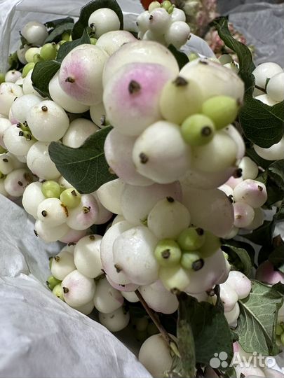 Набор для творчества