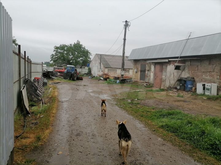 Производство, 800 м²