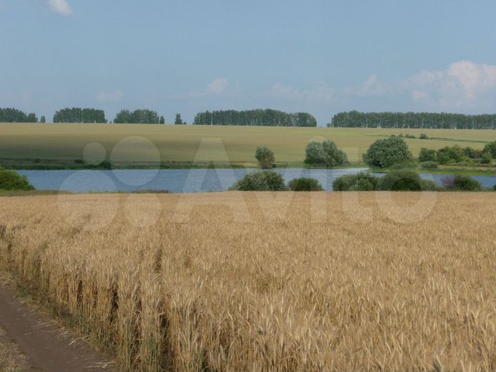 Участок 52 га (СНТ, ДНП)