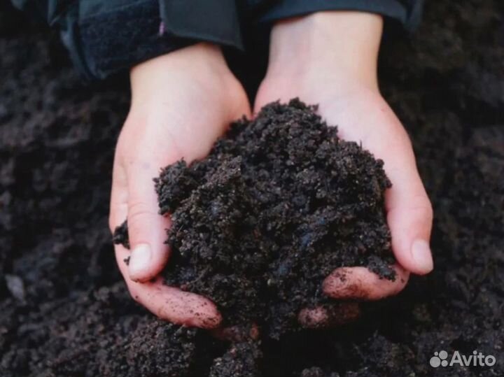 Пескогрунт