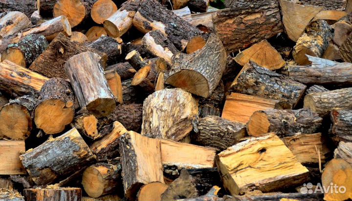 Береза для дров