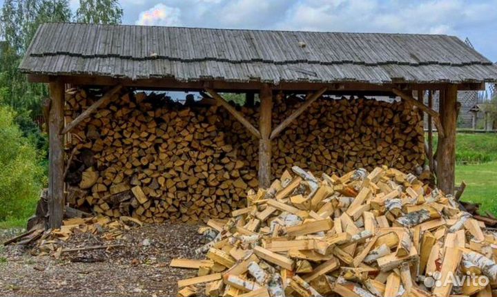 Дрова в тот же день