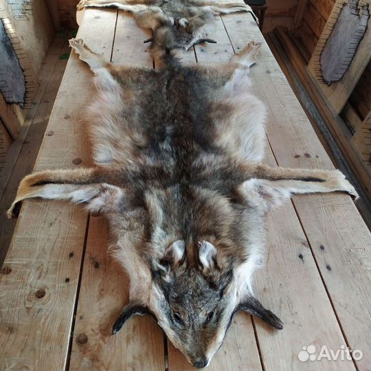Шкура Волка ковер