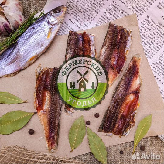 Рыба северная Язь Щука Щекур Мохтик Лещ Сырок