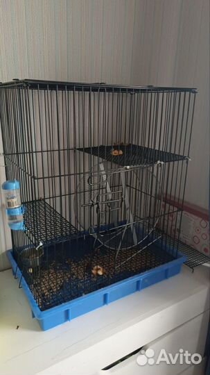 Клетка и переноска для шиншиллы/дегу