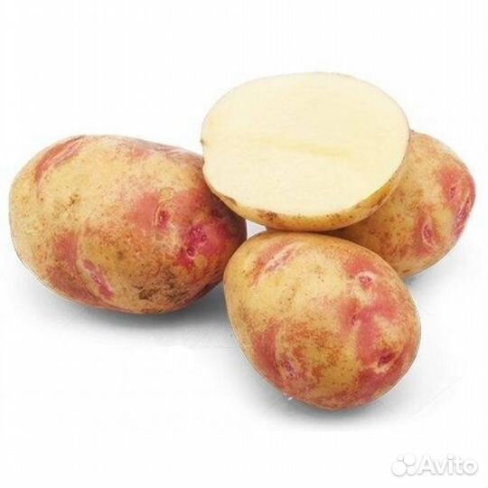 Продам картофель с доставкой