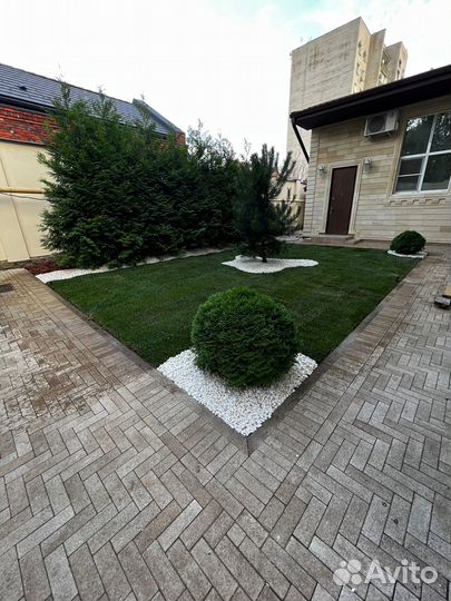 Рулонный газон с укладкой