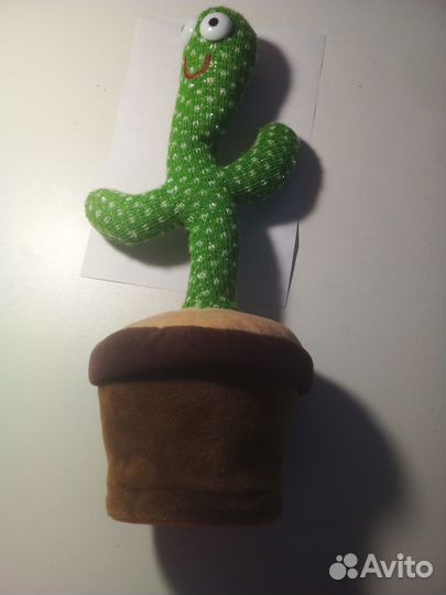 Поющий кактус