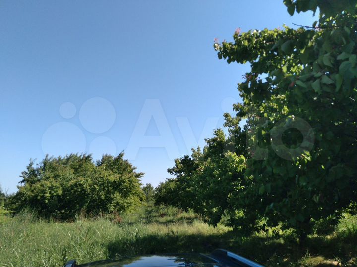 Участок 100 сот. (СНТ, ДНП)