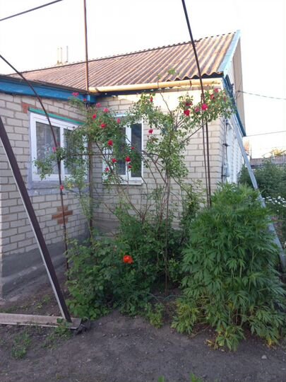 Дом 47 м² на участке 15 сот.