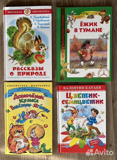 Книги школьная библиотека
