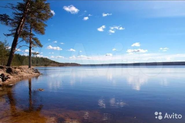 Участок 10,7 га (СНТ, ДНП)