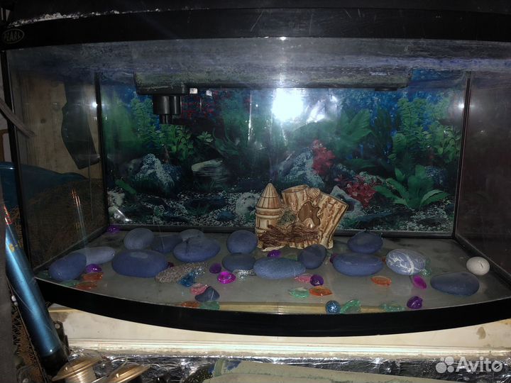 Аквариум для рыб