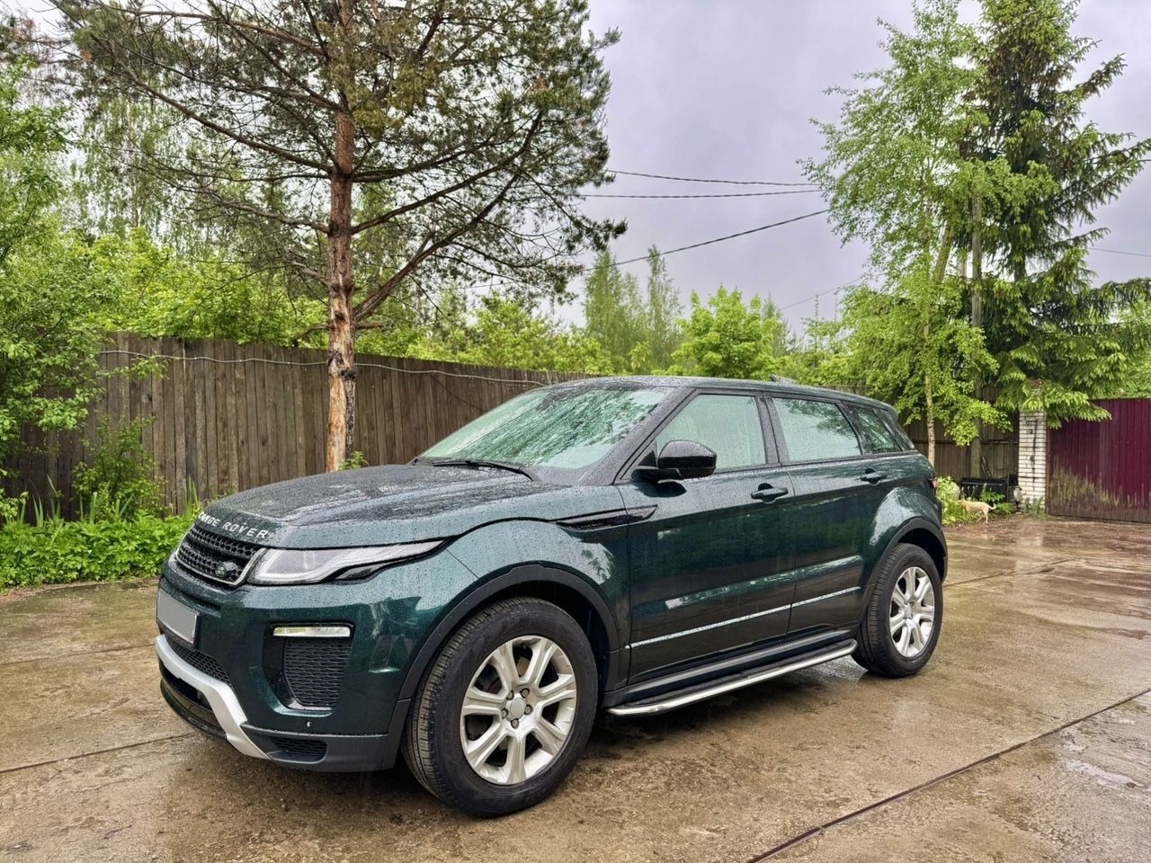 Land Rover Range Rover Evoque: фото из отзыва