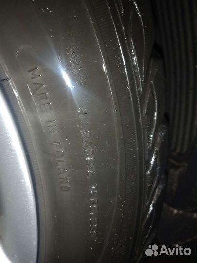 Sava Eskimo Stud 205/55 R16 91