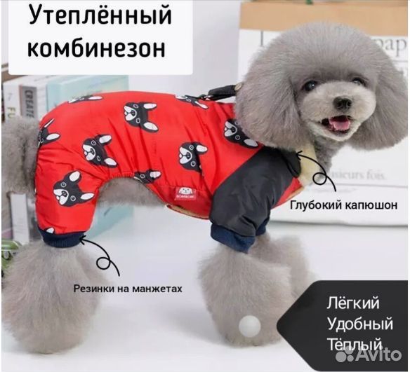 Комбинезон для собаки XXL